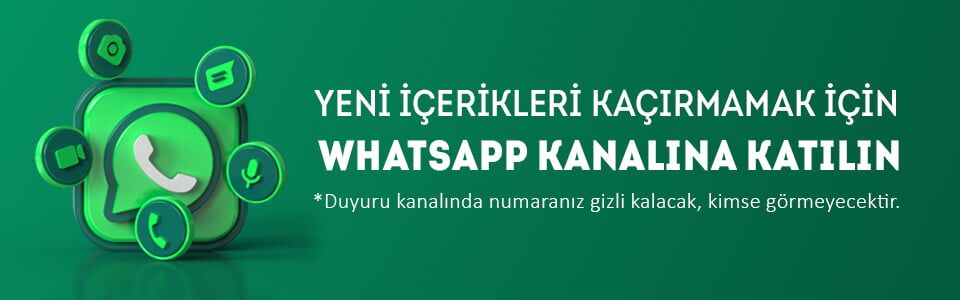 Sariq kuchli xoroz ustiga tortildi